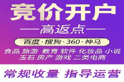 竞价排名在电商行业的实战案例